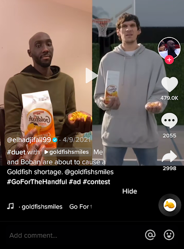 Goldfish TikTok Video Example